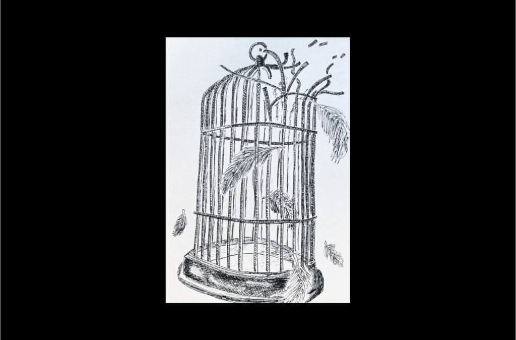 Bird Cage Broken Open